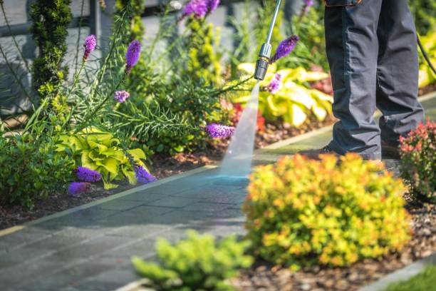 Best Winterizing Services  in Lamont, CA